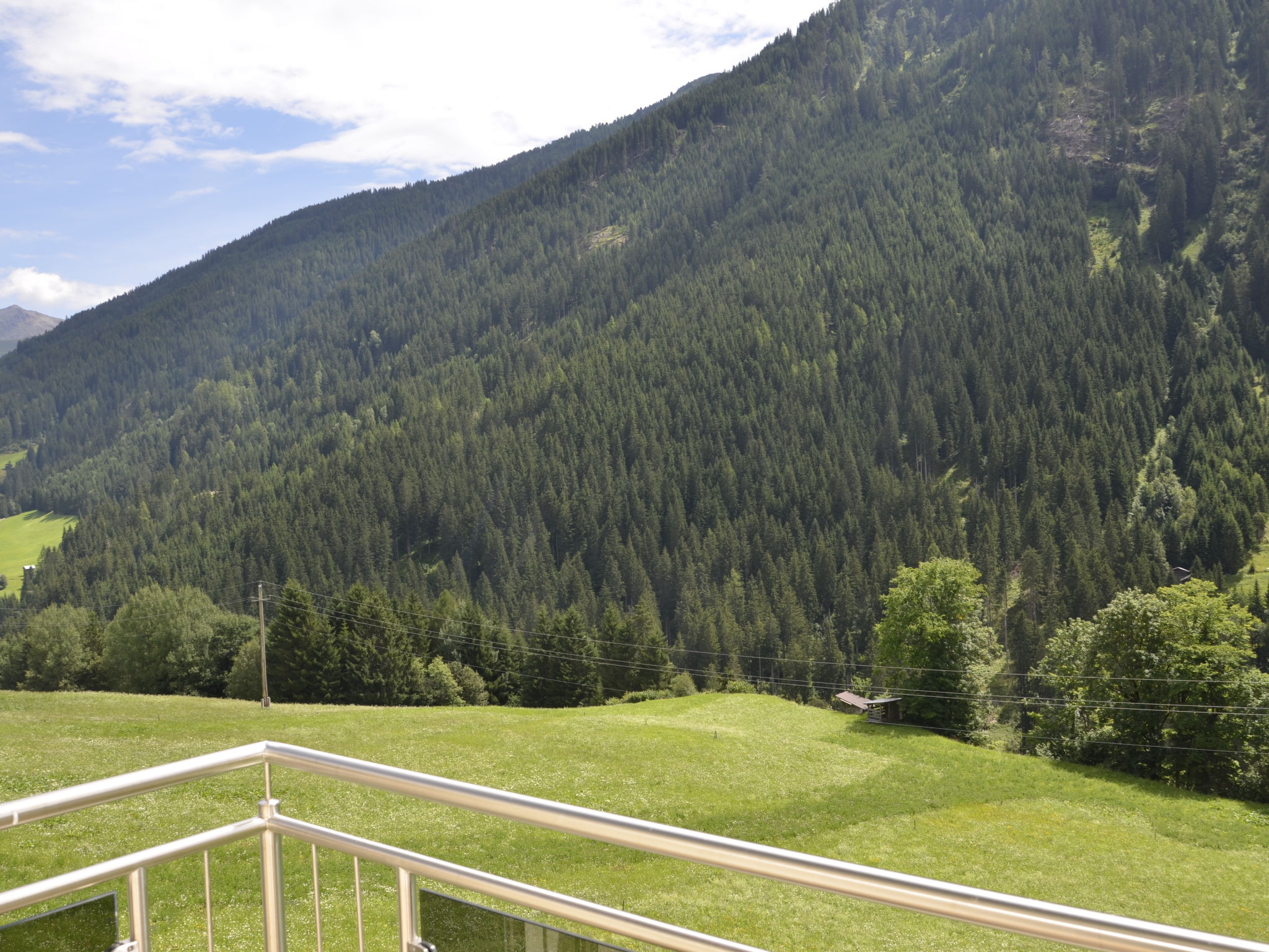 Photo of Alpenrose