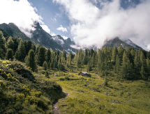 Ferienwohnung Apart Alpenland