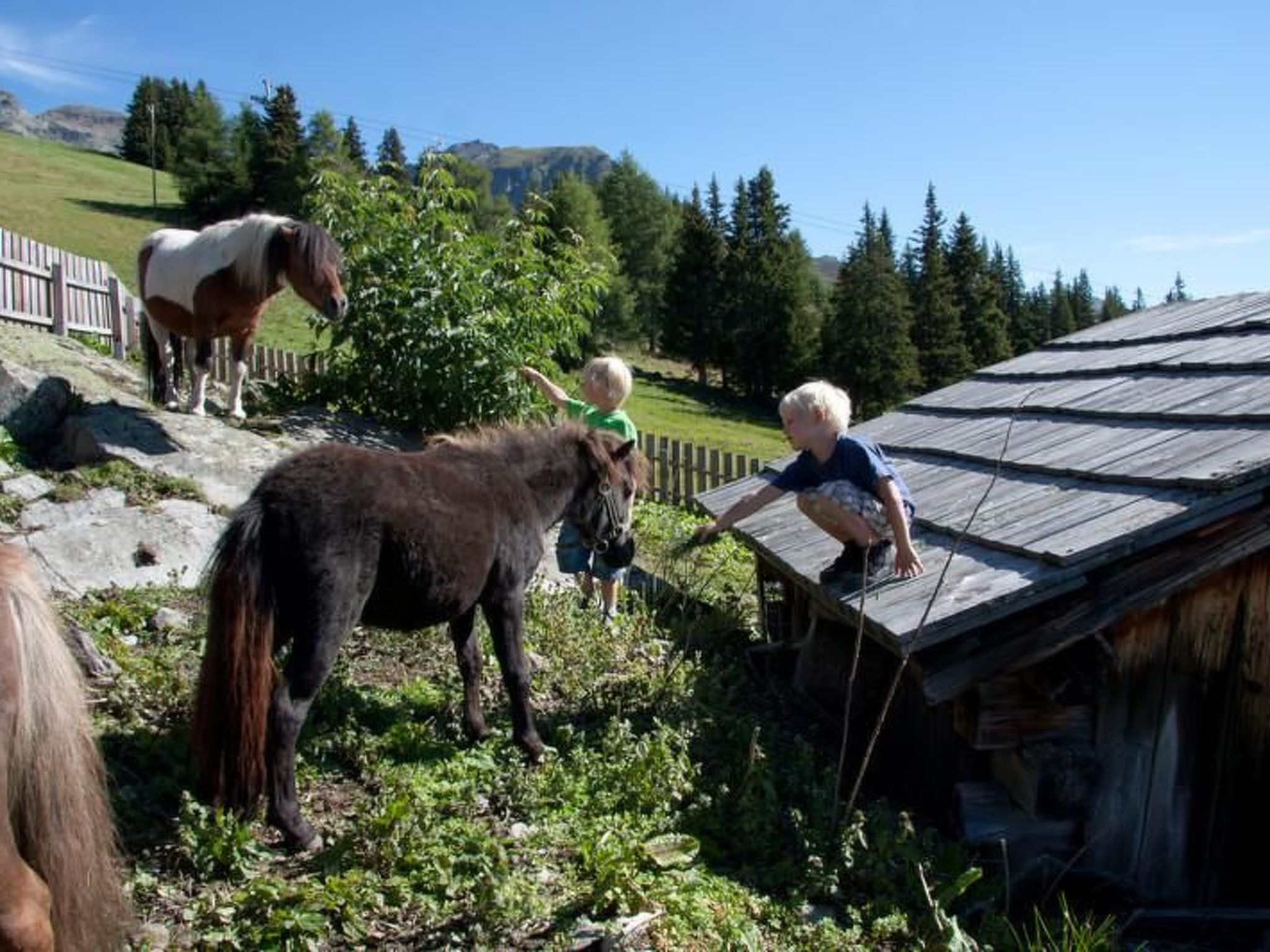 Apartment 101 Agnes-Drinnen