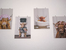Apartment Sandra Falch