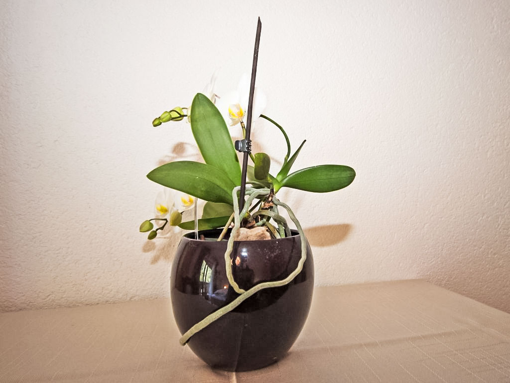 Bild 7