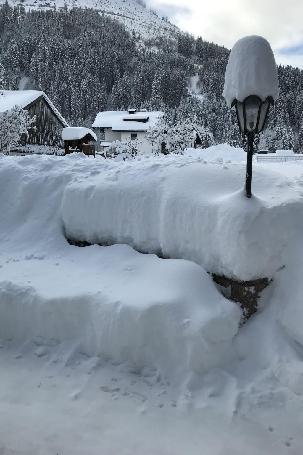 Pony-Ziegen-Hasen-Ranch in Bichlbach-Binnen