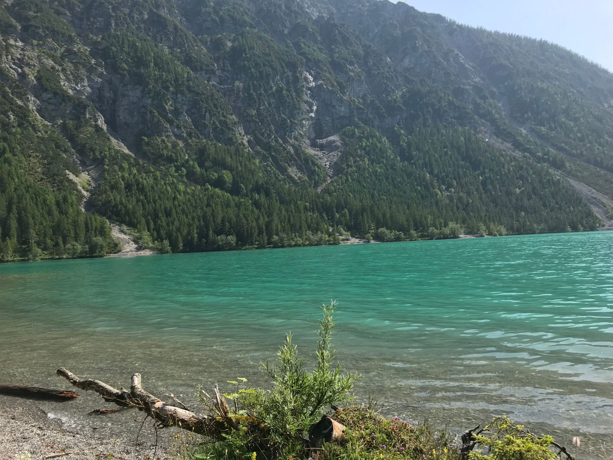 Pony-Ziegen-Hasen-Ranch in Bichlbach-Binnen