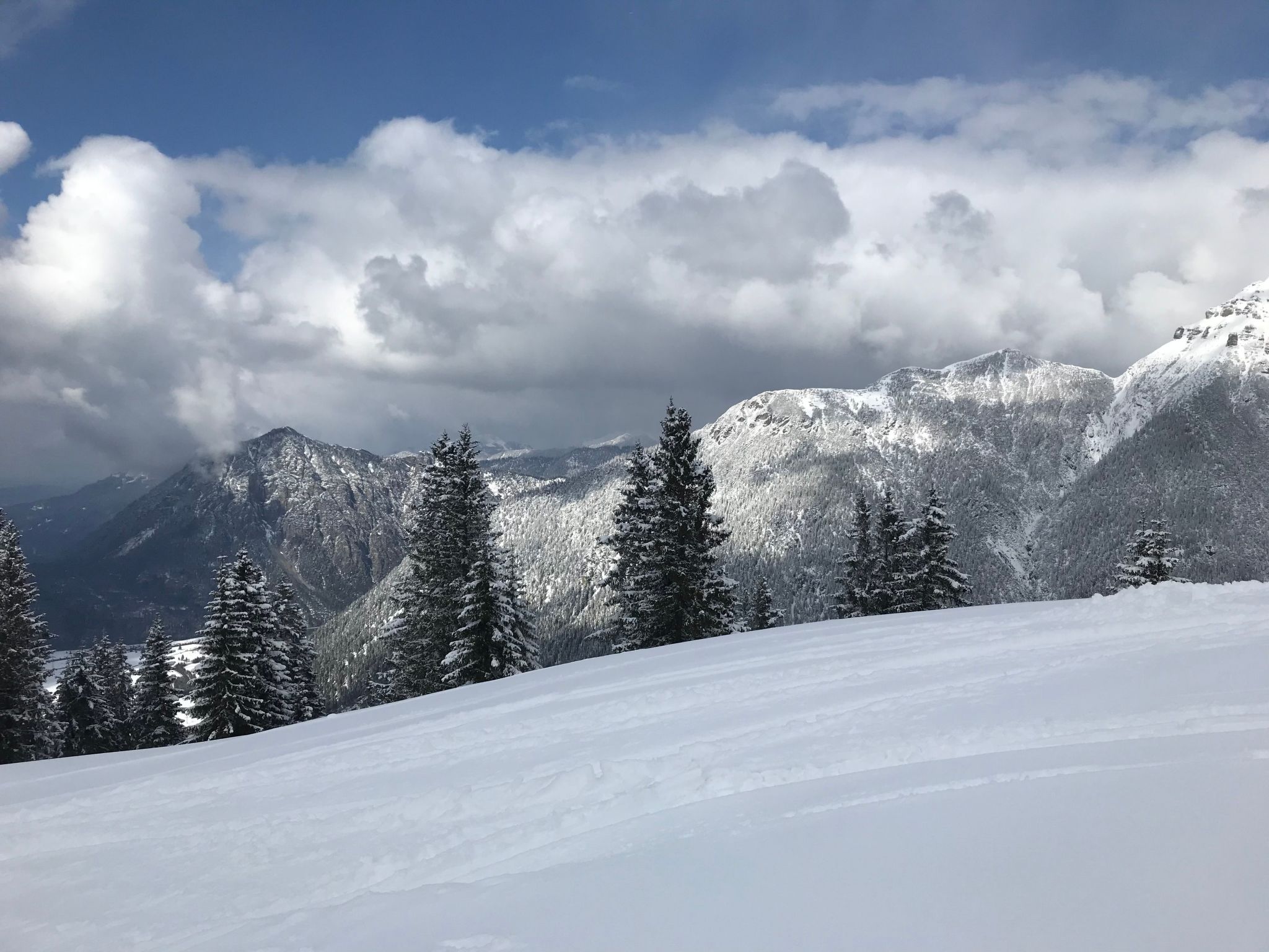Pony-Ziegen-Hasen-Ranch in Bichlbach-Binnen