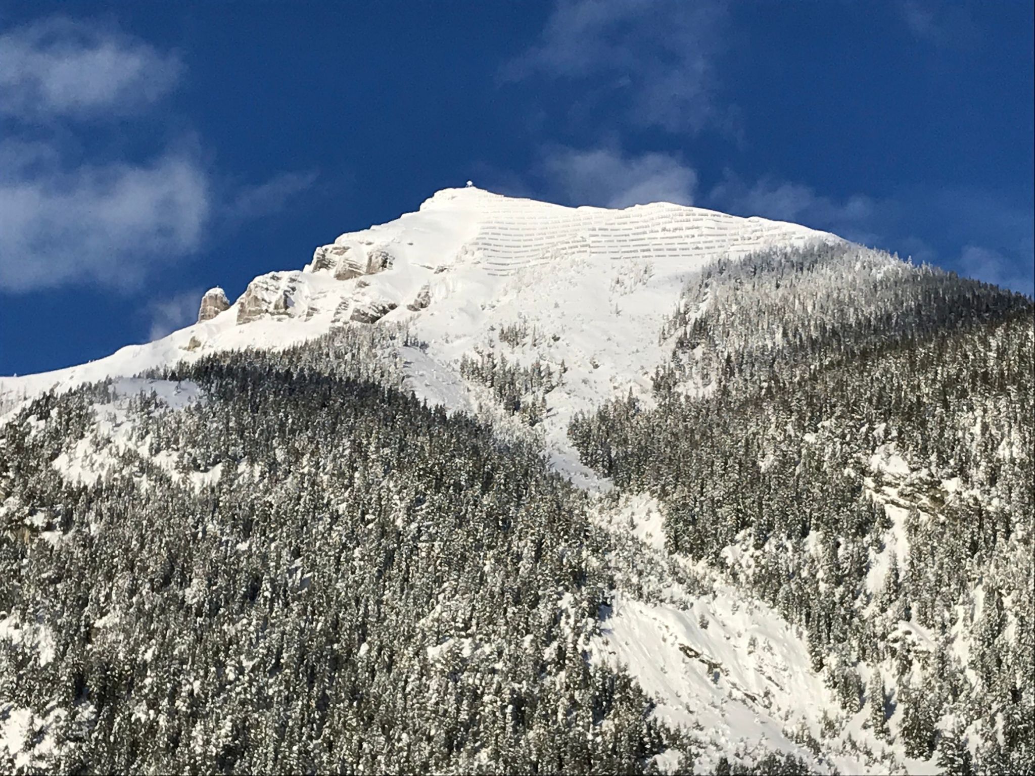 Pony-Ziegen-Hasen-Ranch in Bichlbach-Binnen