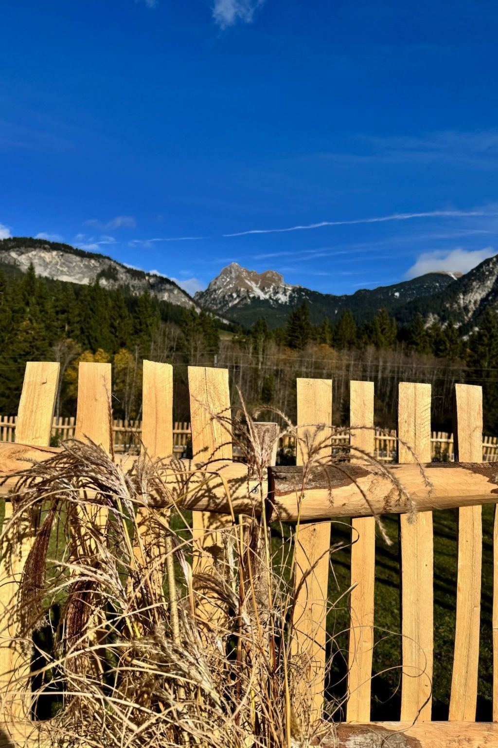 Haus Schönblick-Image-tags.info