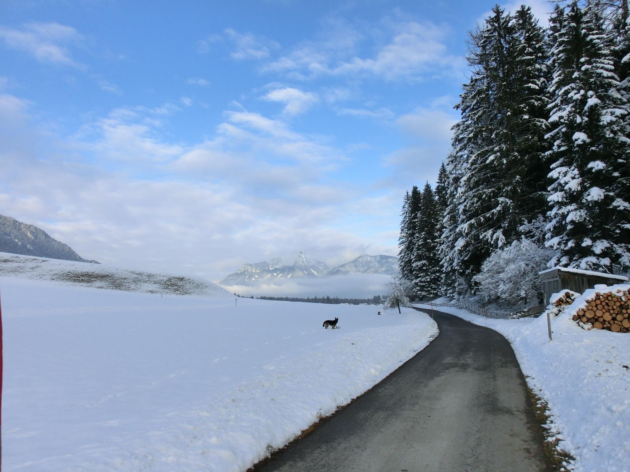 Alpenhof Sonne-Image-tags.info