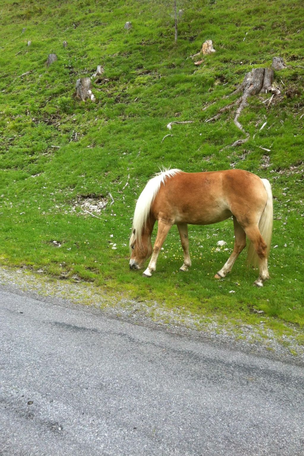 Alpenhof Sonne-Image-tags.info