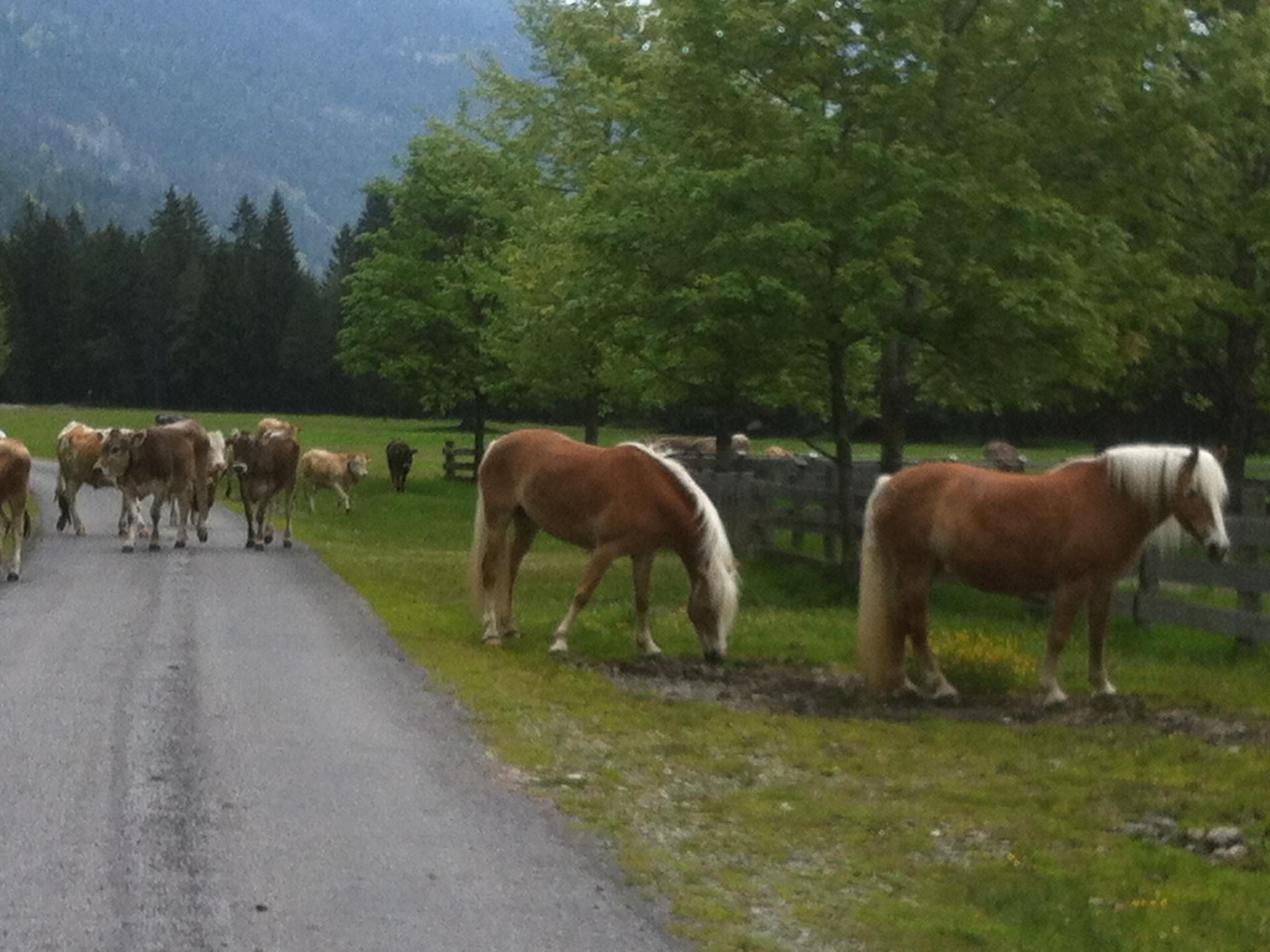 Alpenhof Sonne-Image-tags.info
