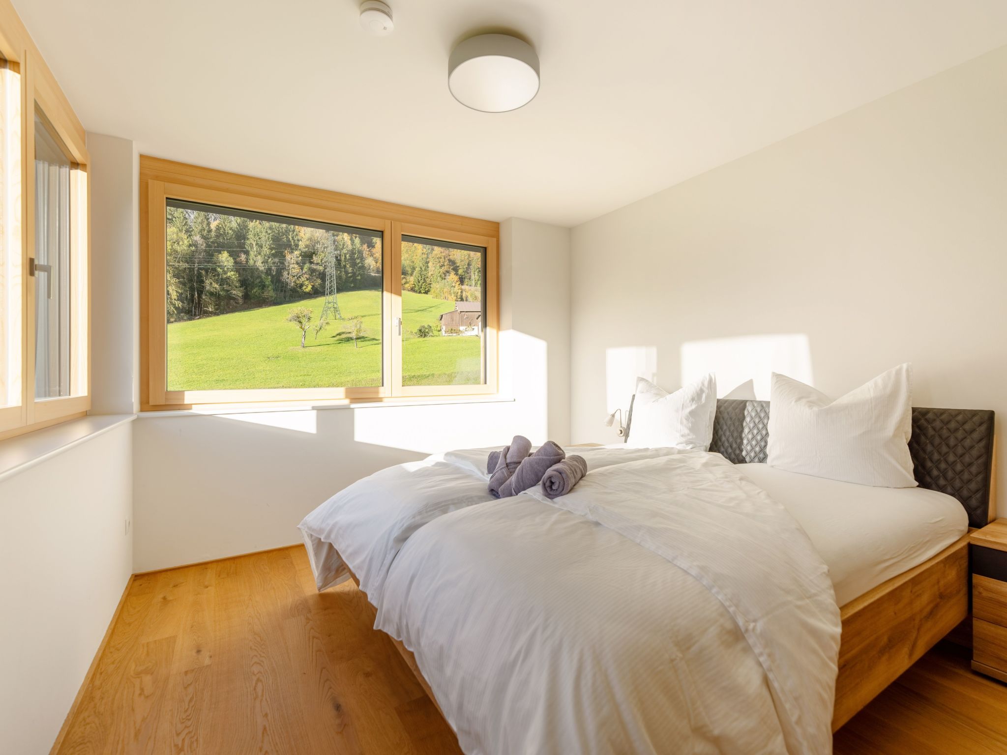 Top 5 in Dalaas-Image-tags.info