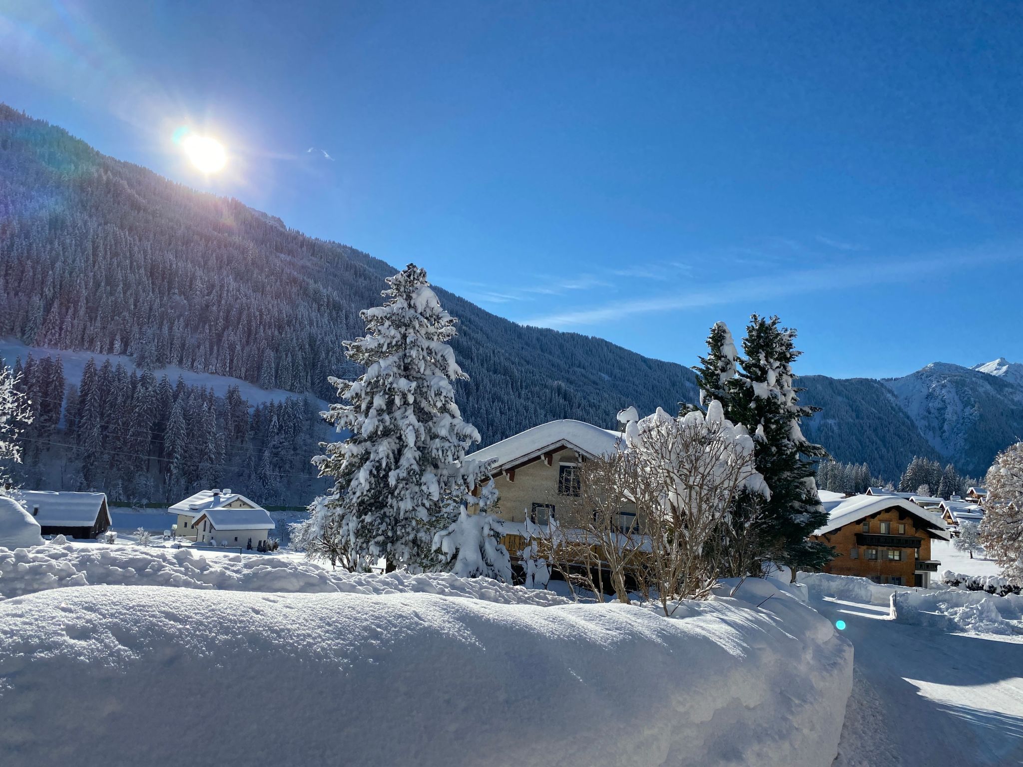 Top 5 in Dalaas-Image-tags.info