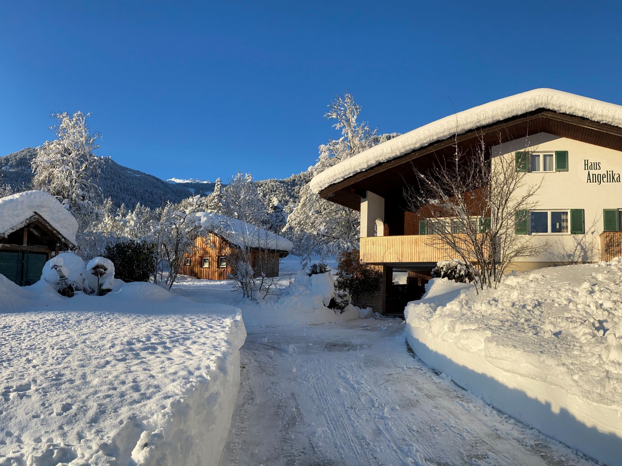 Wohnung in Vandans mit Offenem Kamin