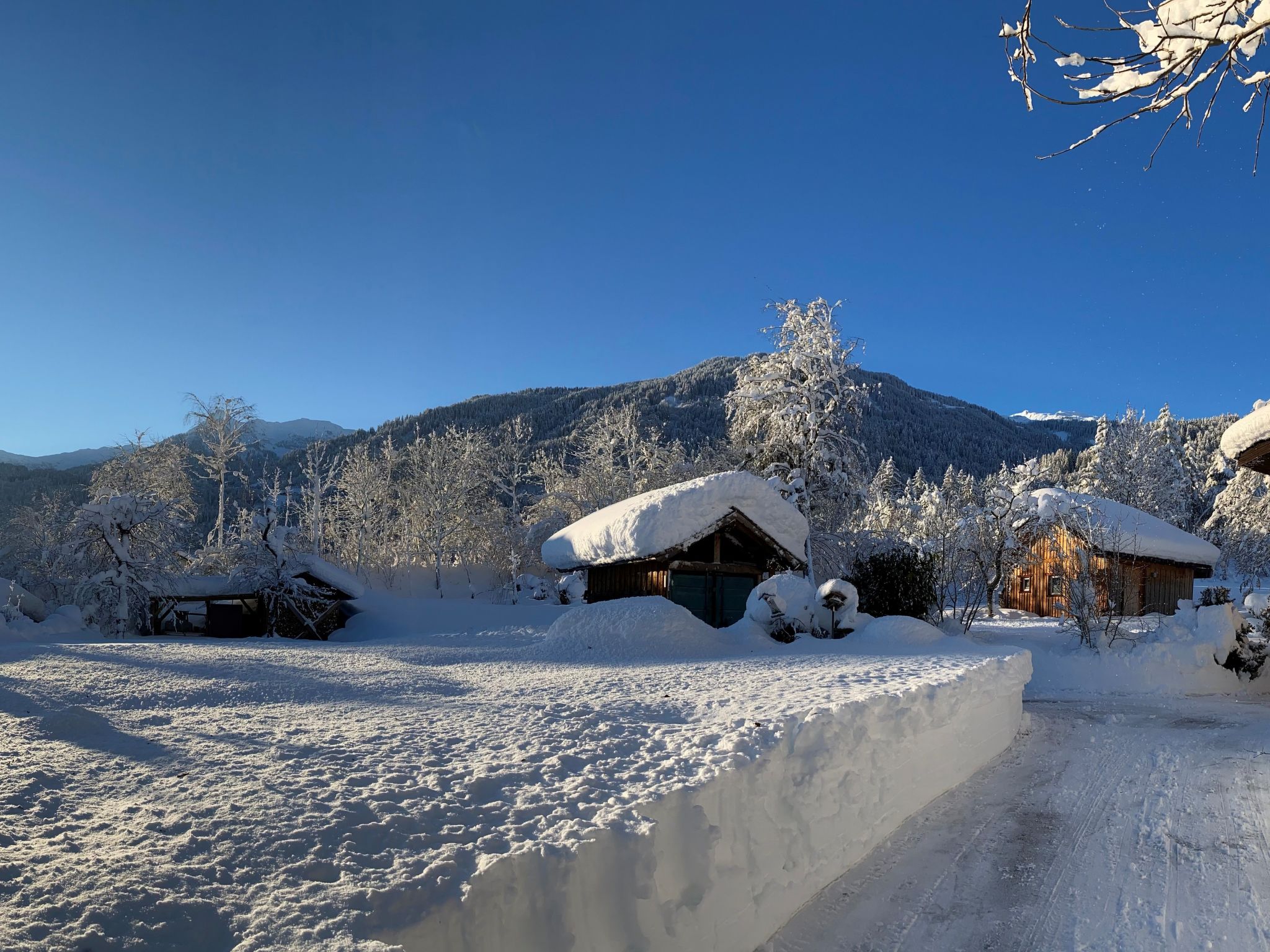 Wohnung in Vandans mit Offenem Kamin