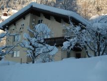 Große Wohnung in Silbertal mit Großem Garten