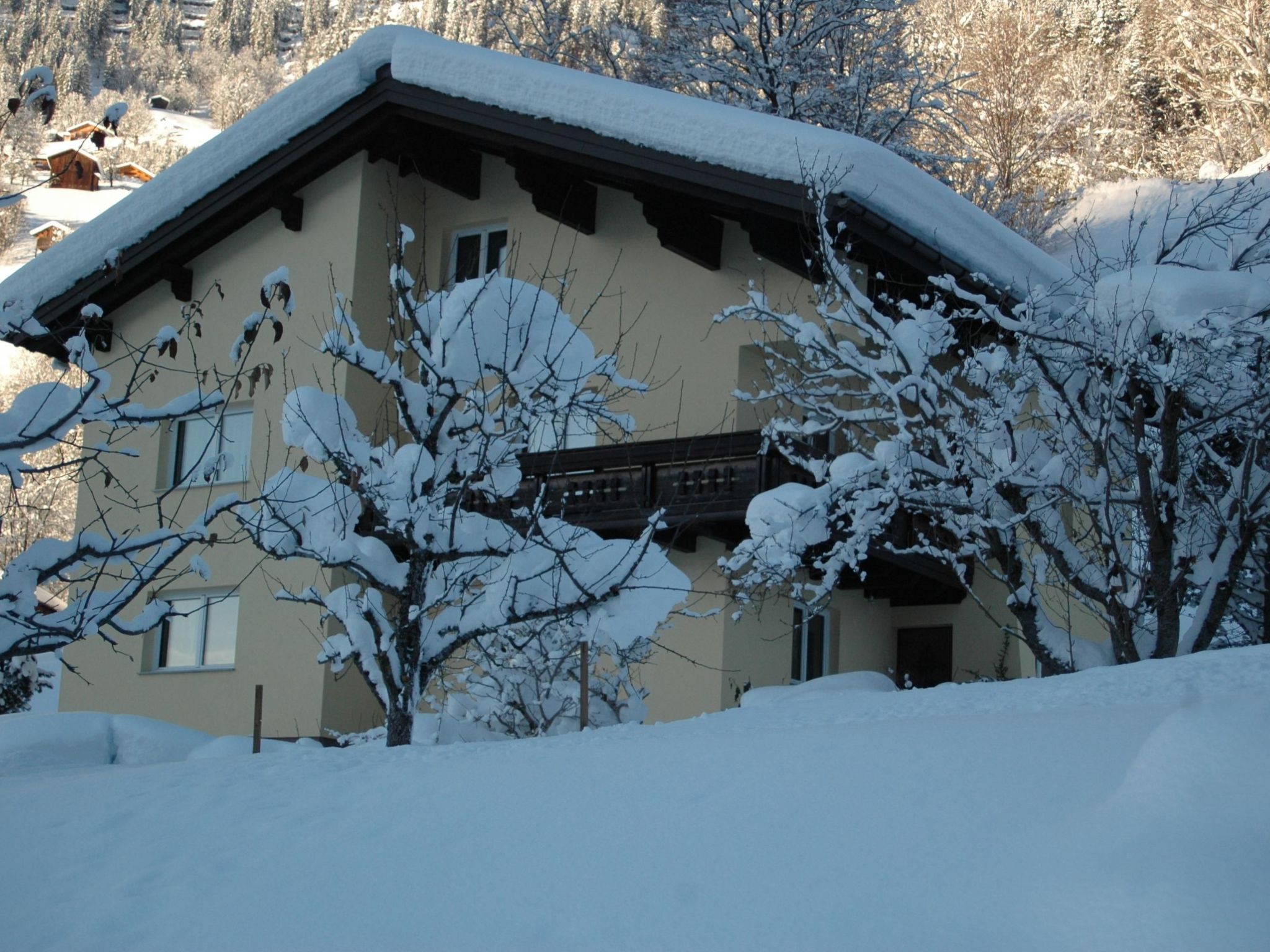 Große Wohnung in Silbertal mit Großem Garten