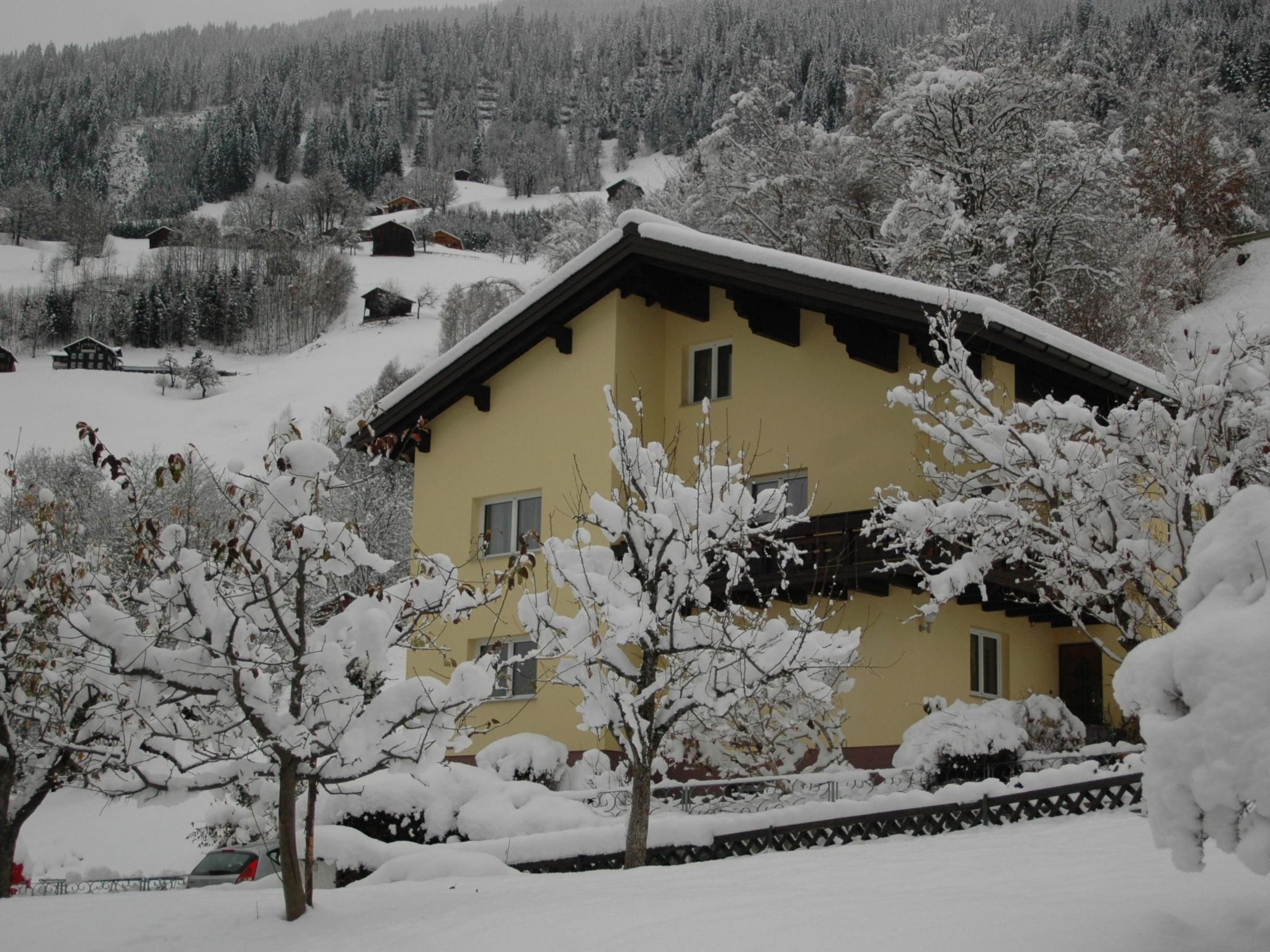 Große Wohnung in Silbertal mit Großem Garten-Binnen
