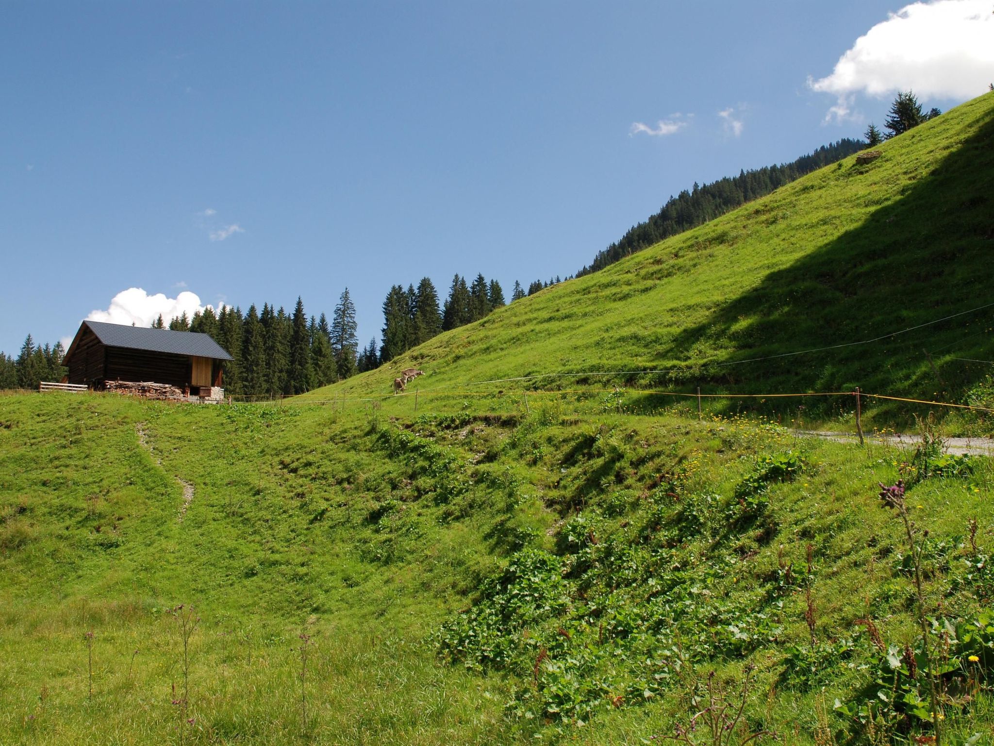 Bohemia 4 in Sankt Gallenkirch-Dedans