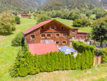 Ruim appartement met tuin in Sankt Gallenkirch, dichtbij de piste - thumbnail 1