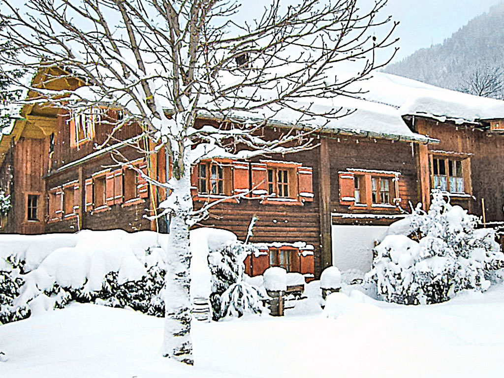 Ferienwohnung Helmreich Ferienwohnung  Montafon