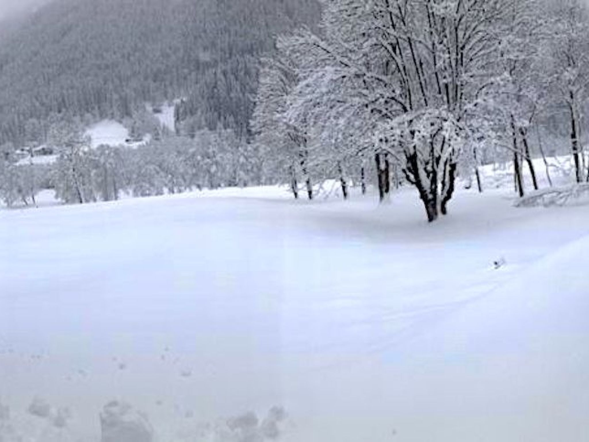 Ferienappartement-Binnen