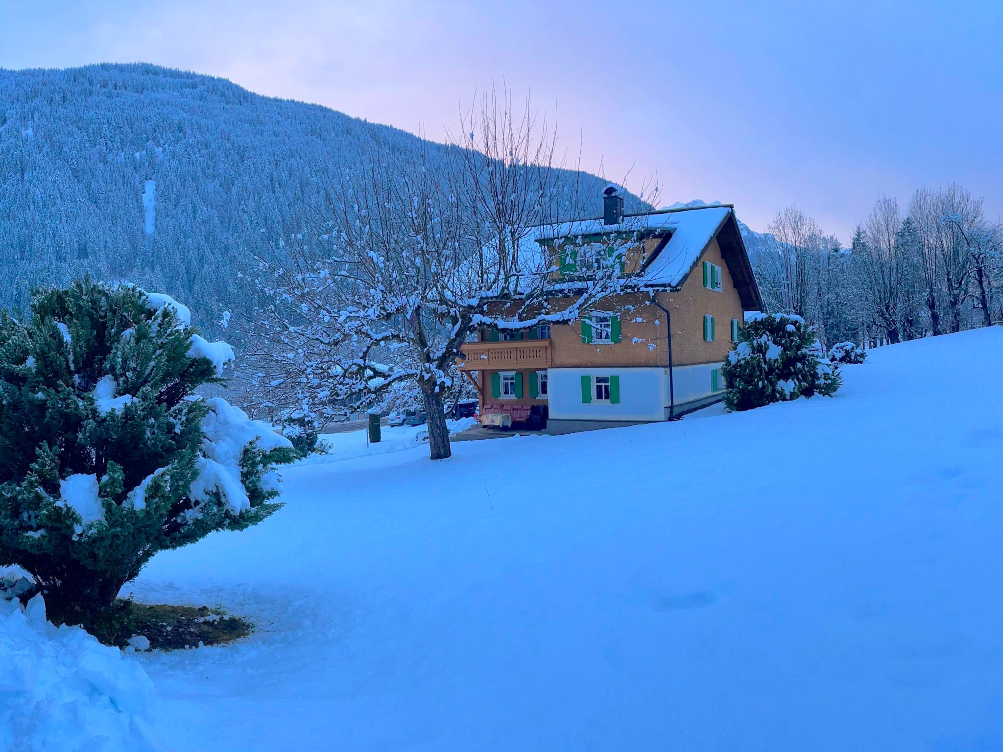 Montafoner Bauernhaus in Gortipohl-Binnen