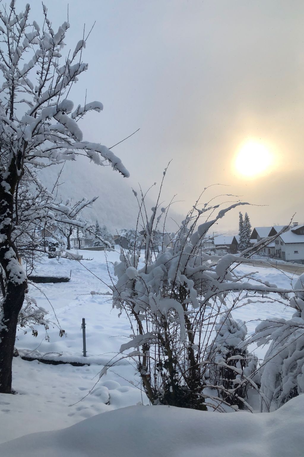 Montafoner Bauernhaus in Gortipohl-Binnen