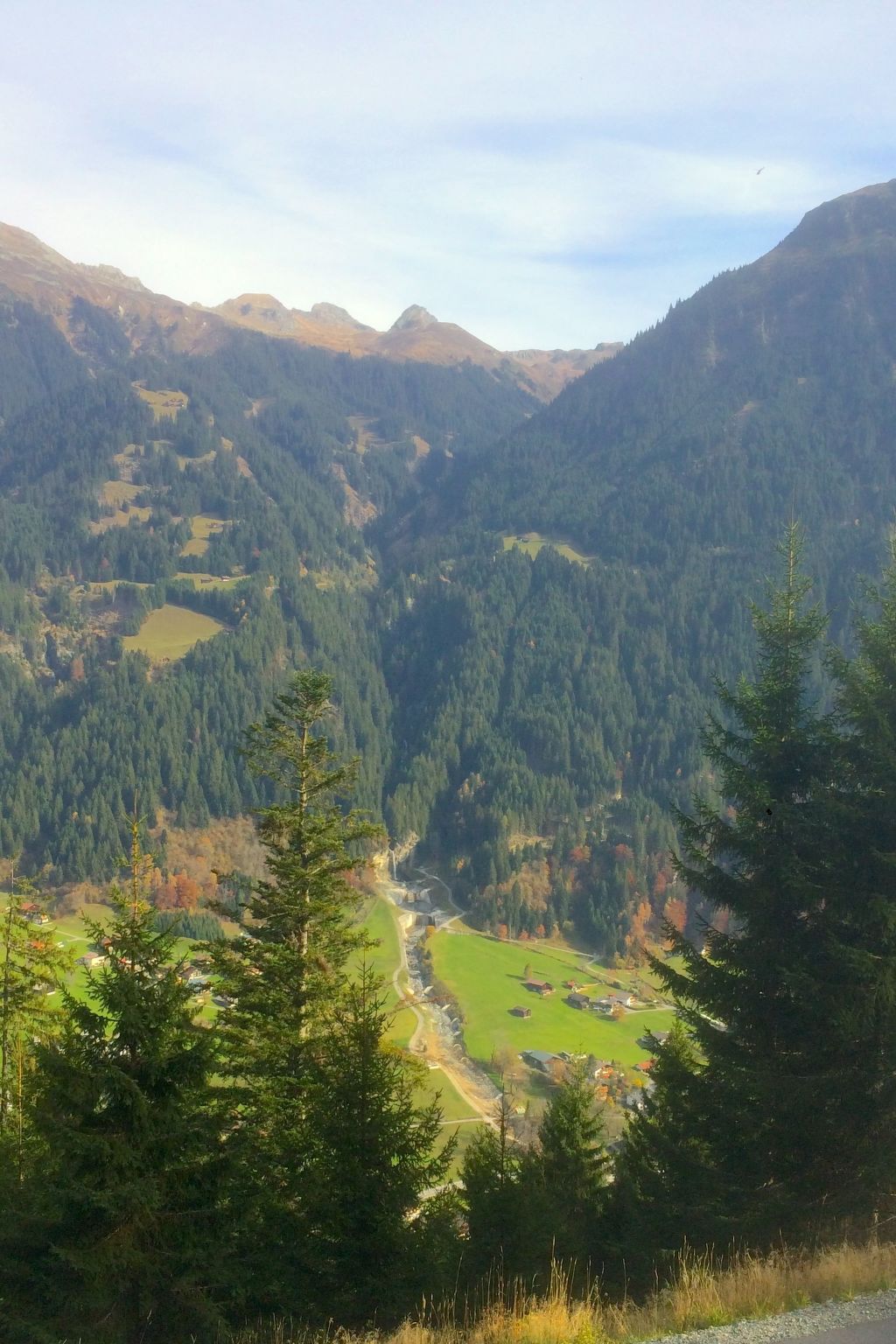 Montafoner Bauernhaus in Gortipohl-Binnen