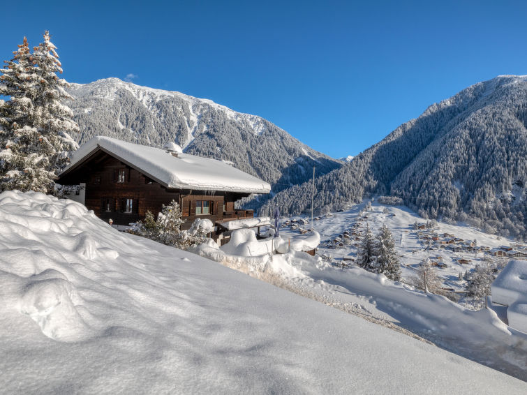 Rekreační dům Alpinchalet Zigjam (GUR600)