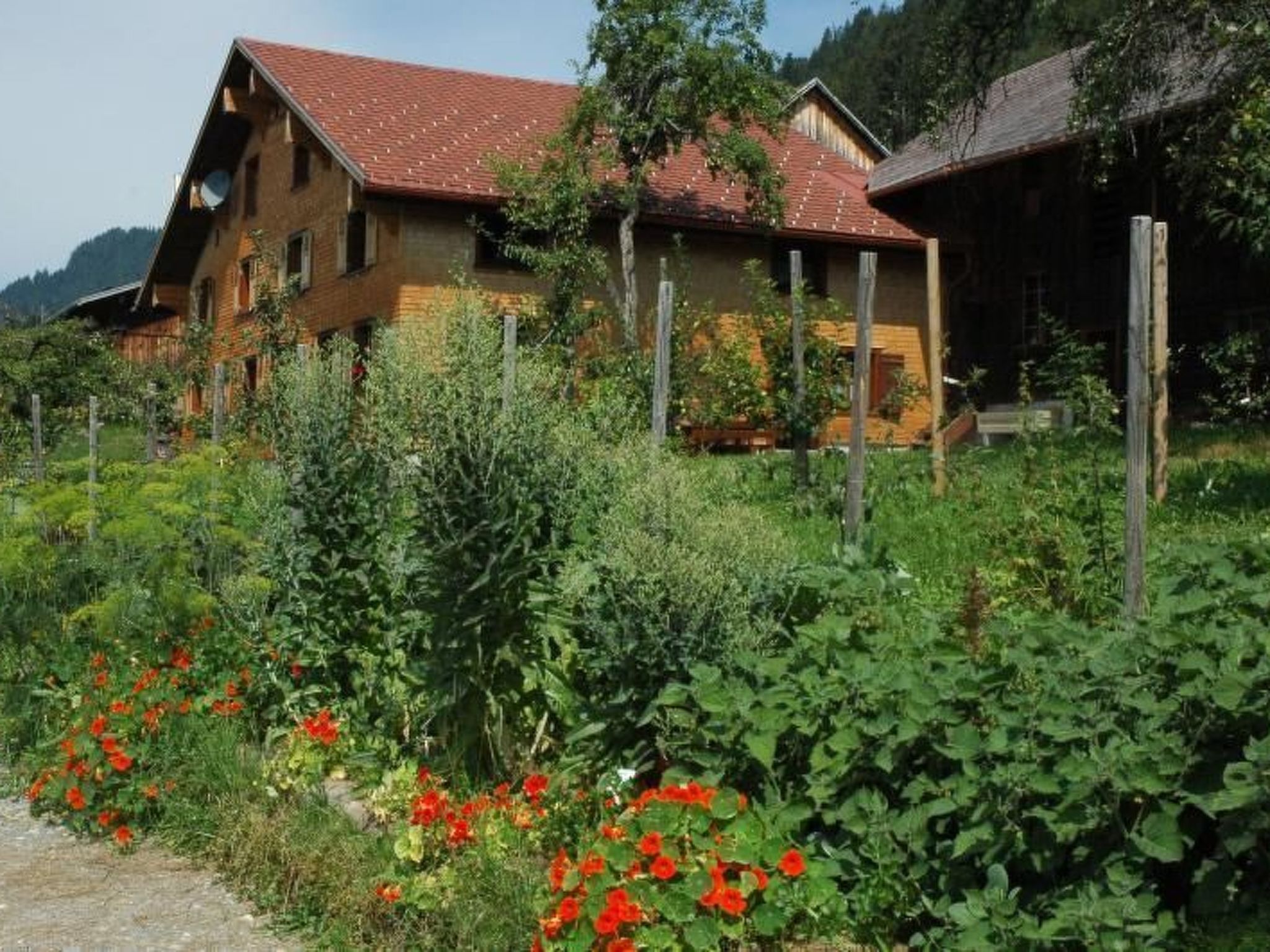 Dünser in Dünserberg-Inside