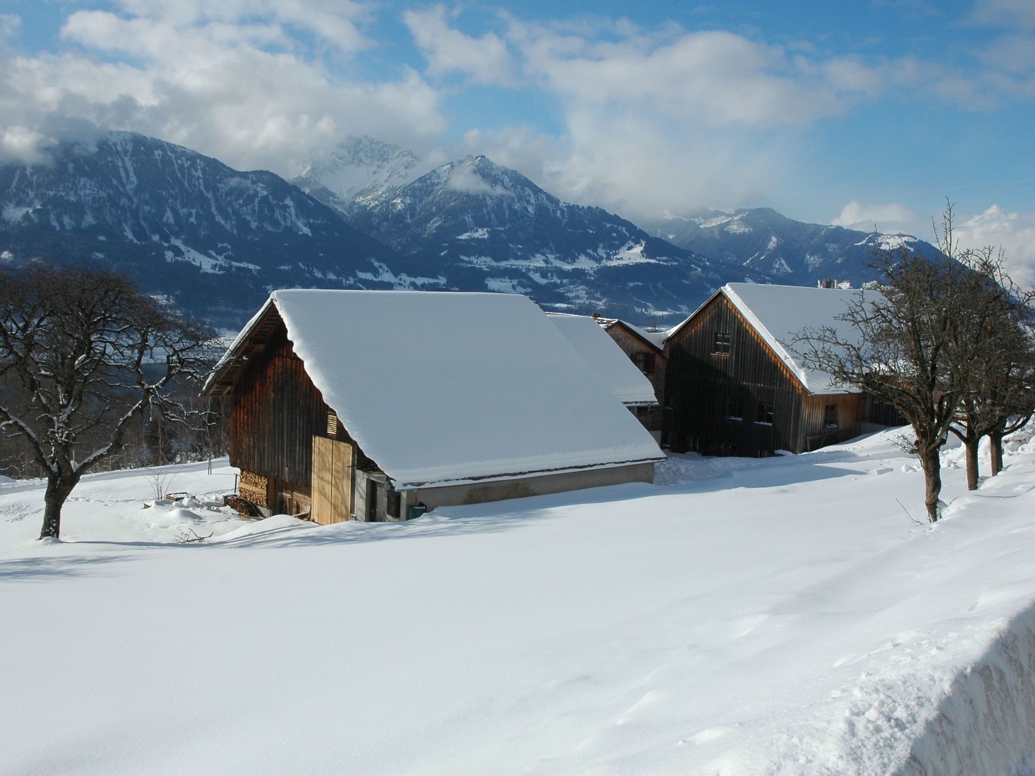 Dünser in Dünserberg-Inside