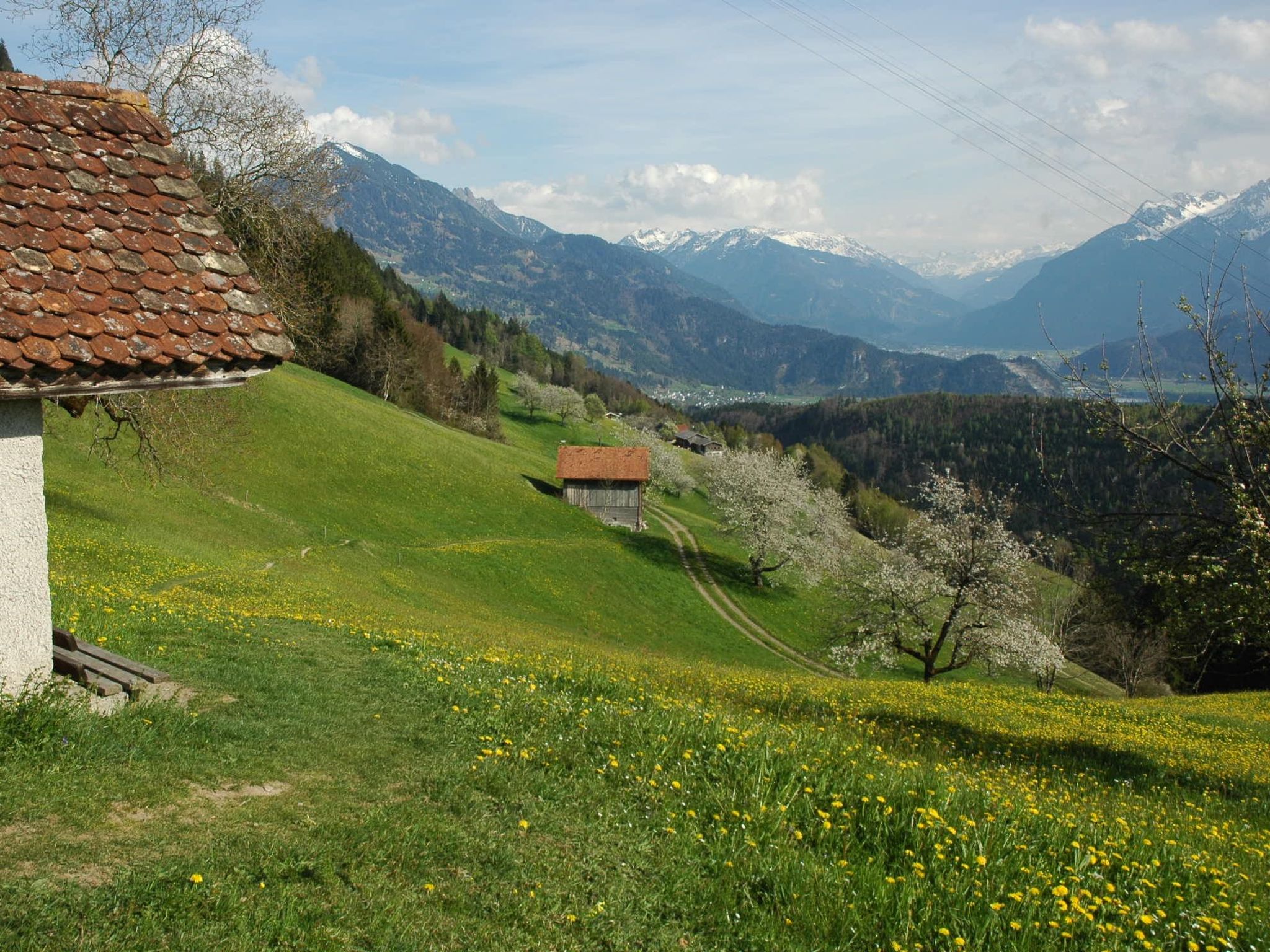 Dünser in Dünserberg-Inside