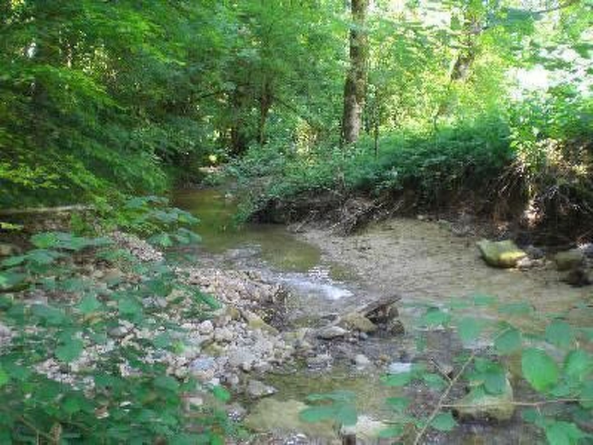 Das Blaue Haus in Hohenweiler-Drinnen