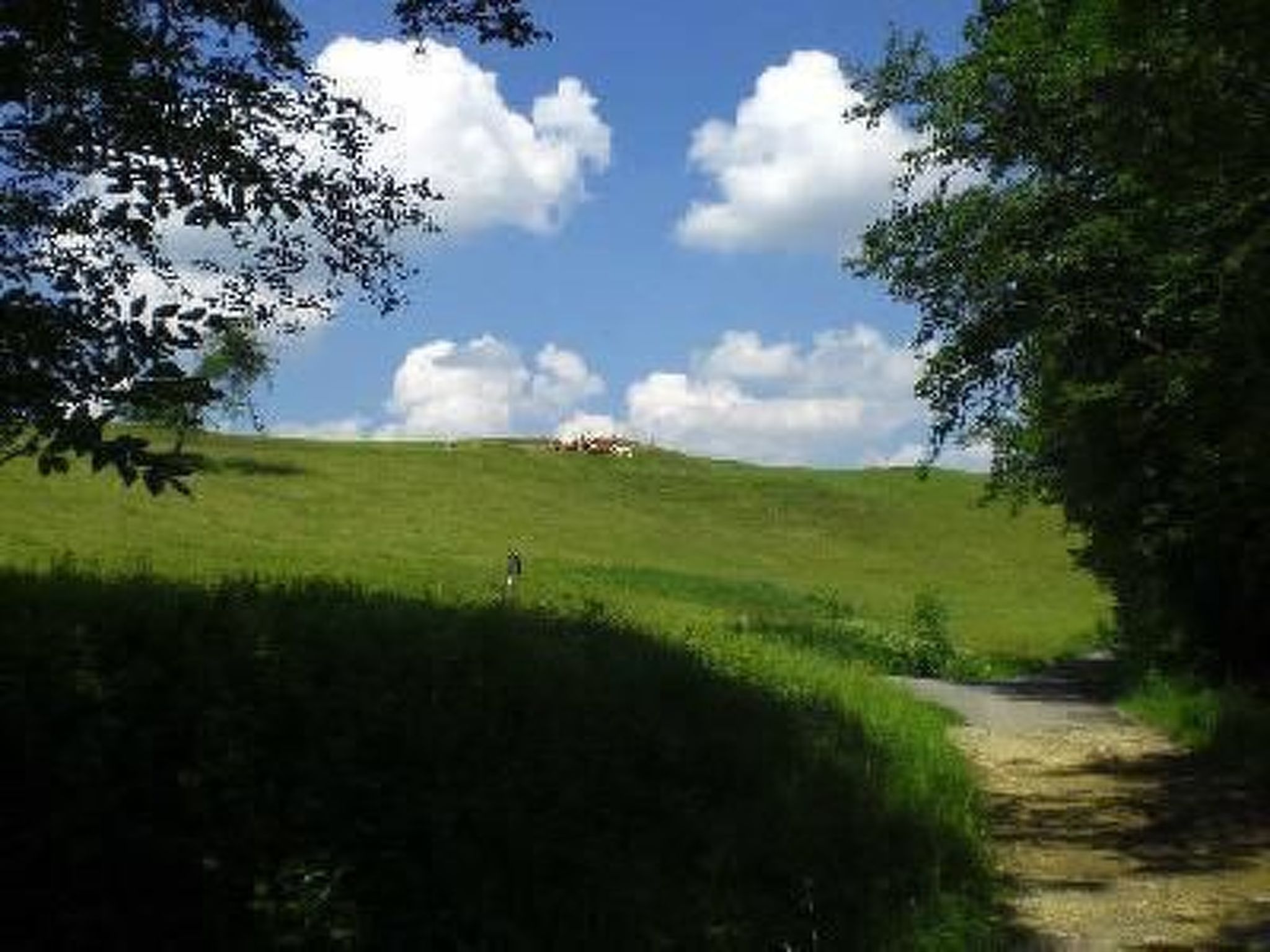 Das Blaue Haus in Hohenweiler-Drinnen
