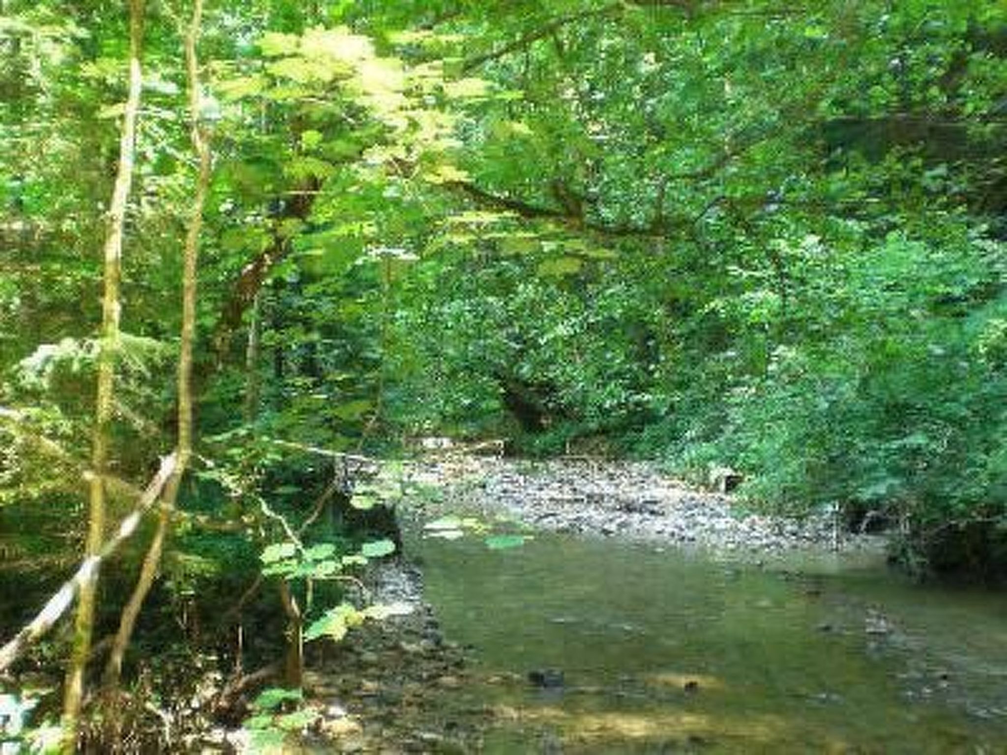 Das Blaue Haus in Hohenweiler-Drinnen
