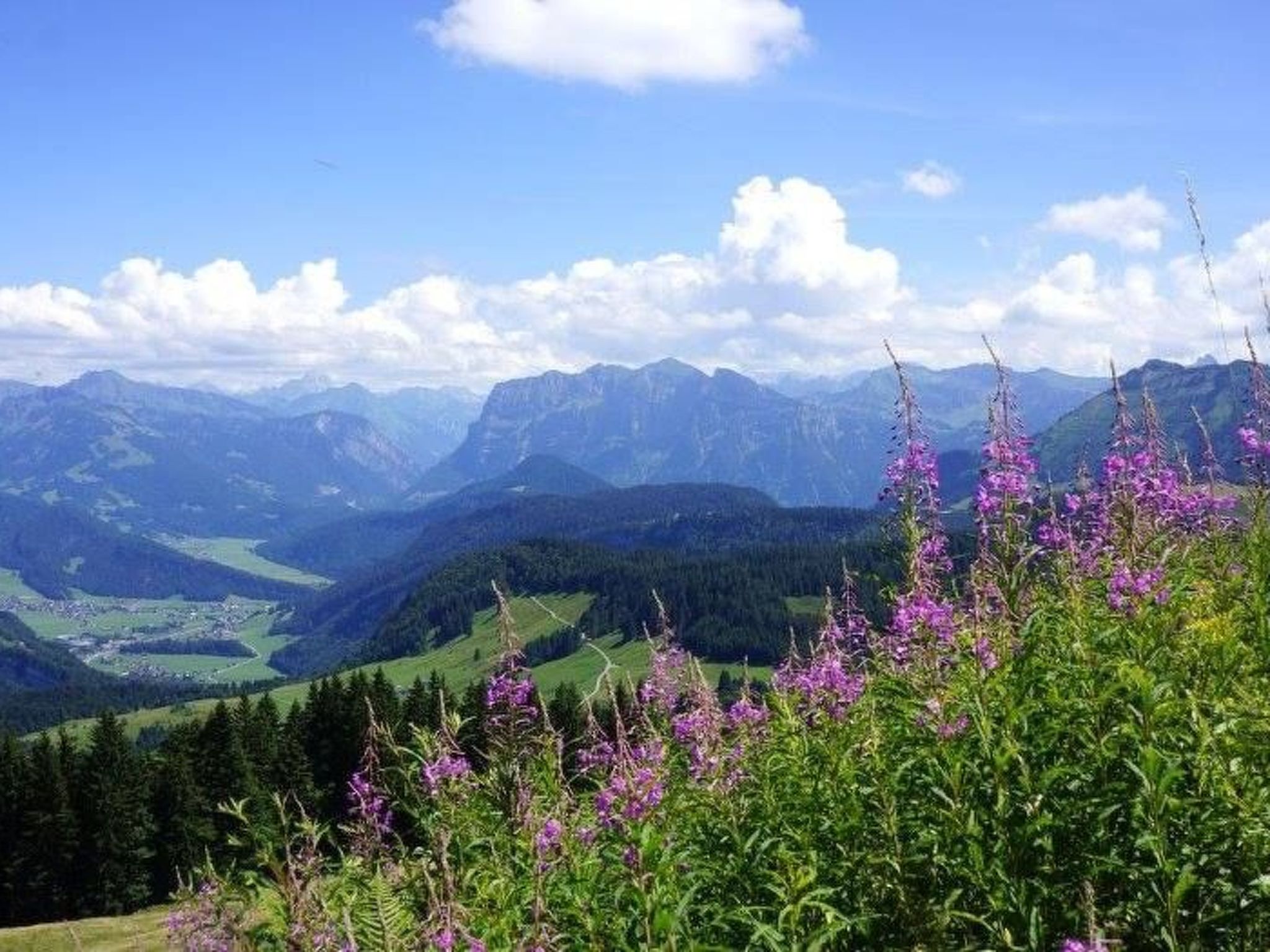 Neue Ferienwohnung in Schwarzenberg mit Garten und Grill-Image-tags.info