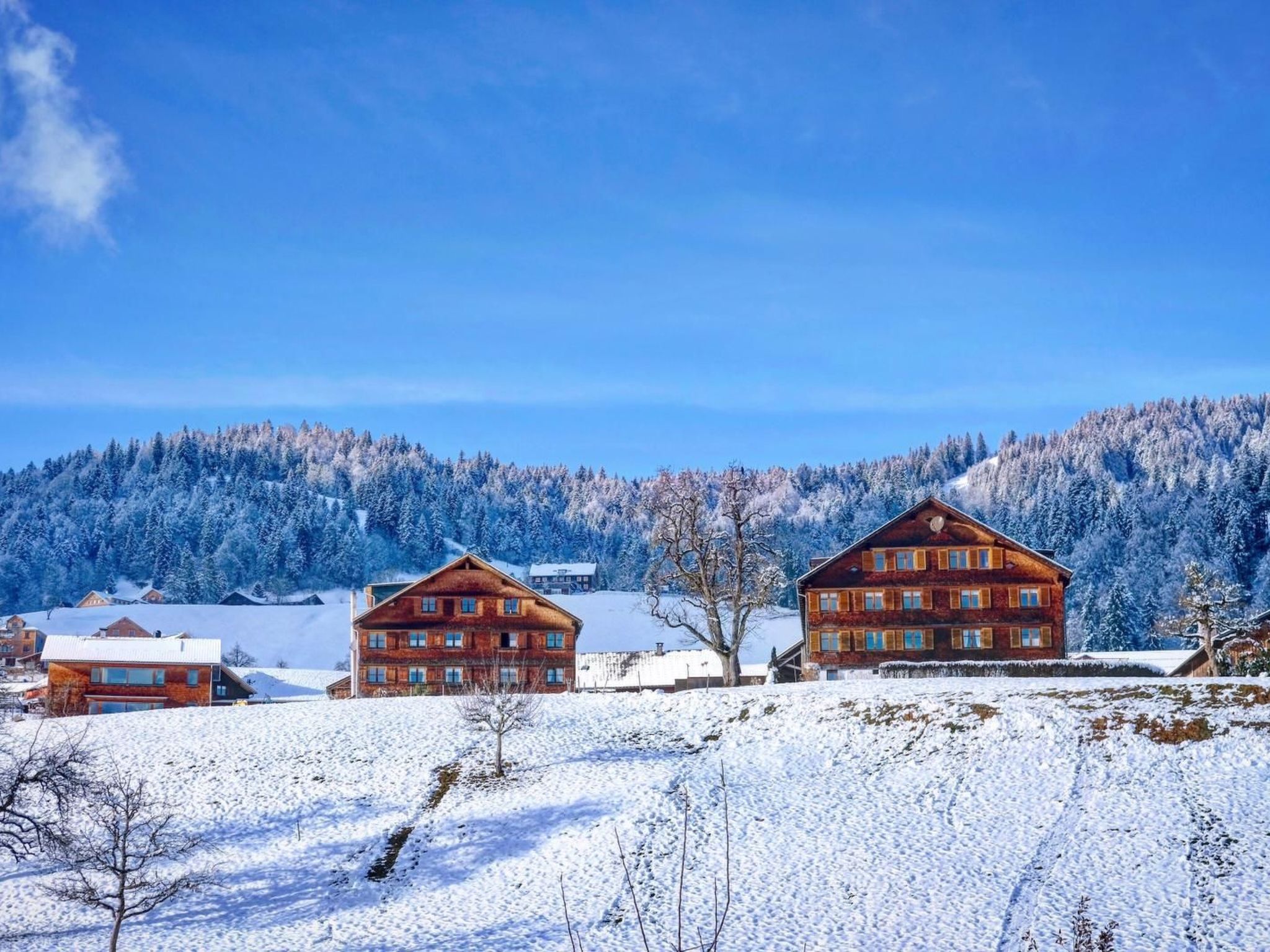 Liebevoll sanierte Wohnung in einem alten Bregenzerwälderhaus-Image-tags.info