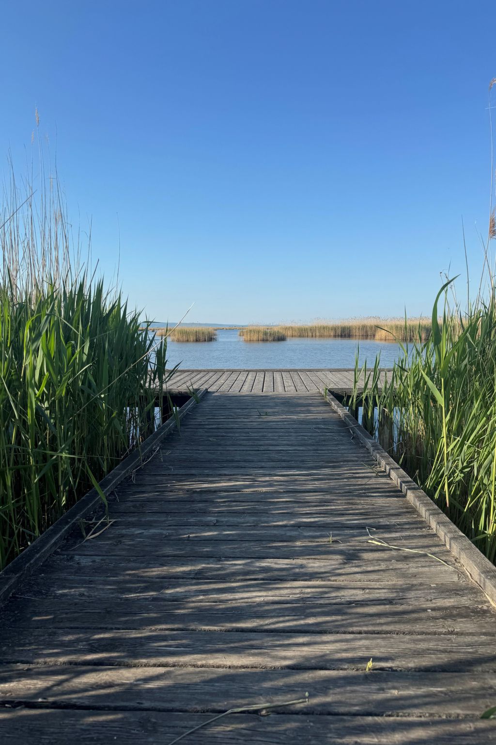 Lakeside Top2-Binnen