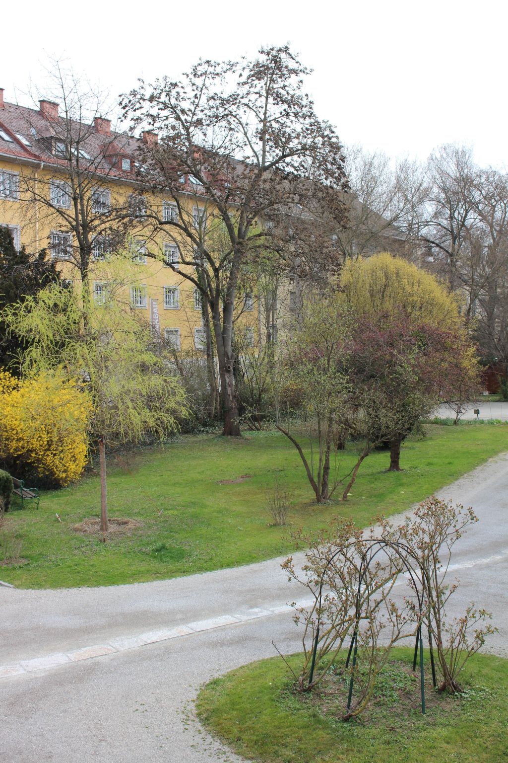 Gemütliche Wohnung in Geidorf mit Garten, Grazer Dom-Nähe-Image-tags.info