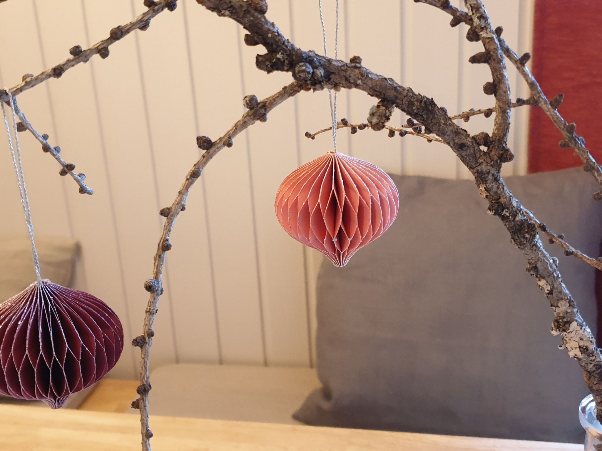 Gemütliche Wohnung in Geidorf mit Garten, Grazer Dom in der Nähe-Image-tags.info