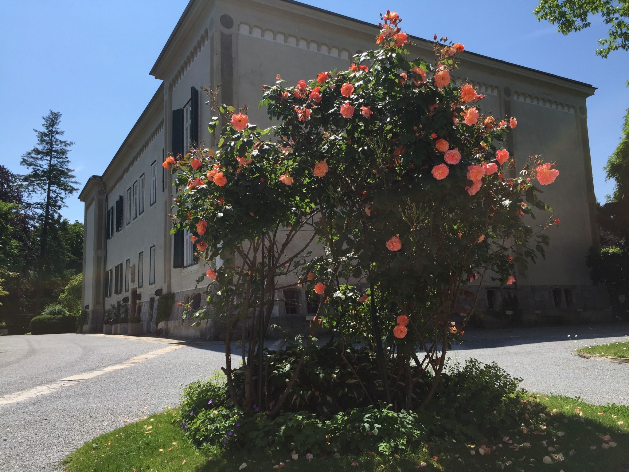 Gemütliche Wohnung in Geidorf mit Garten, Grazer Dom in der Nähe-Image-tags.info