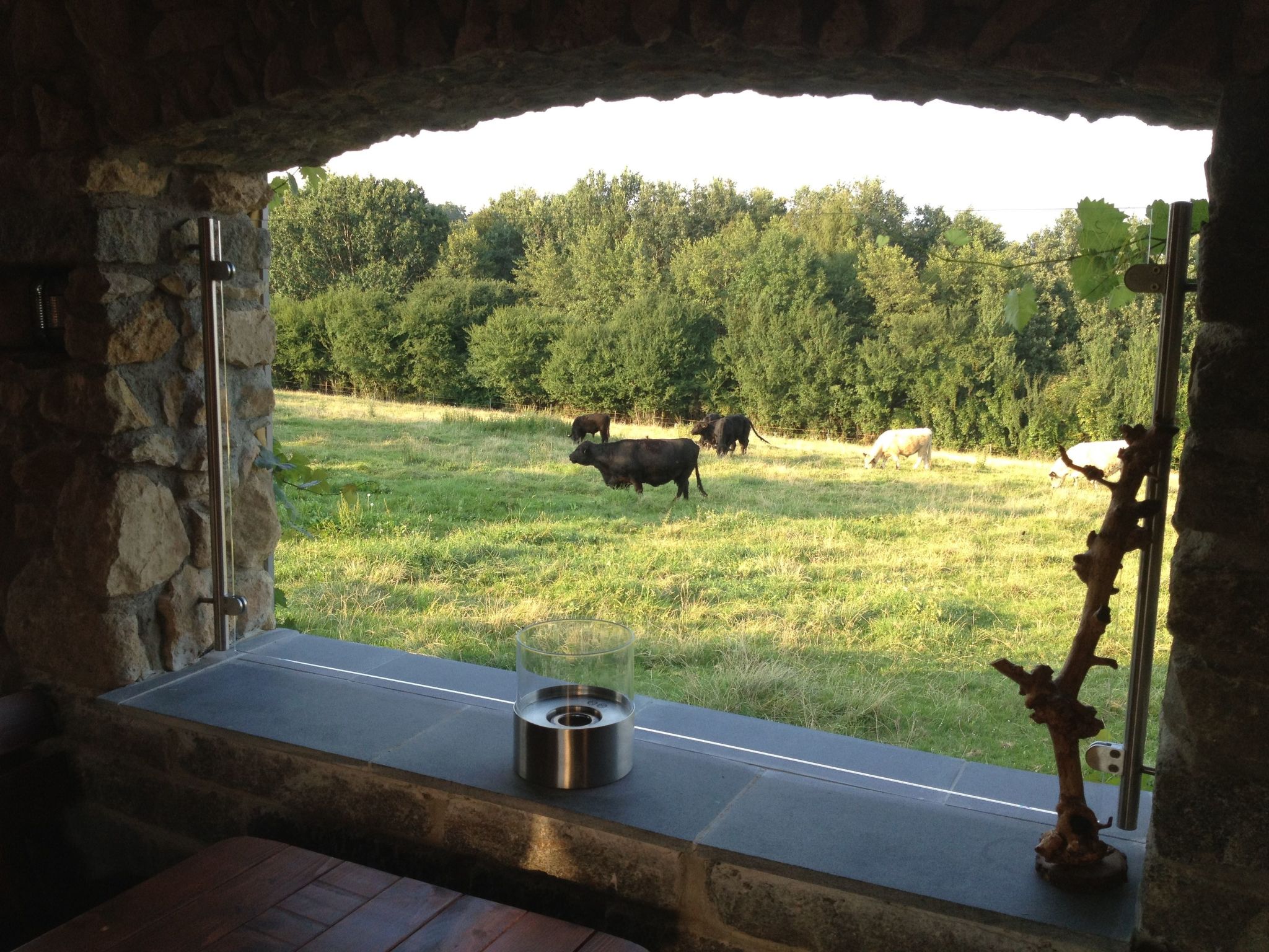 Thermen Apartment-Inside