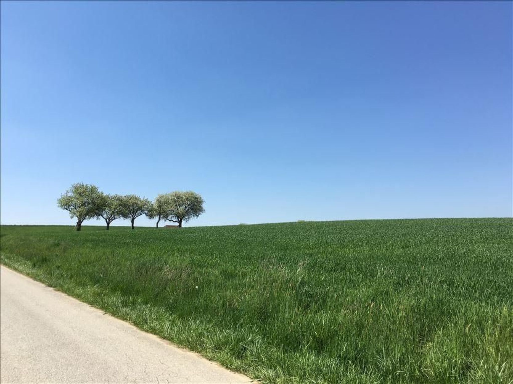 Thermen Apartment-Inside