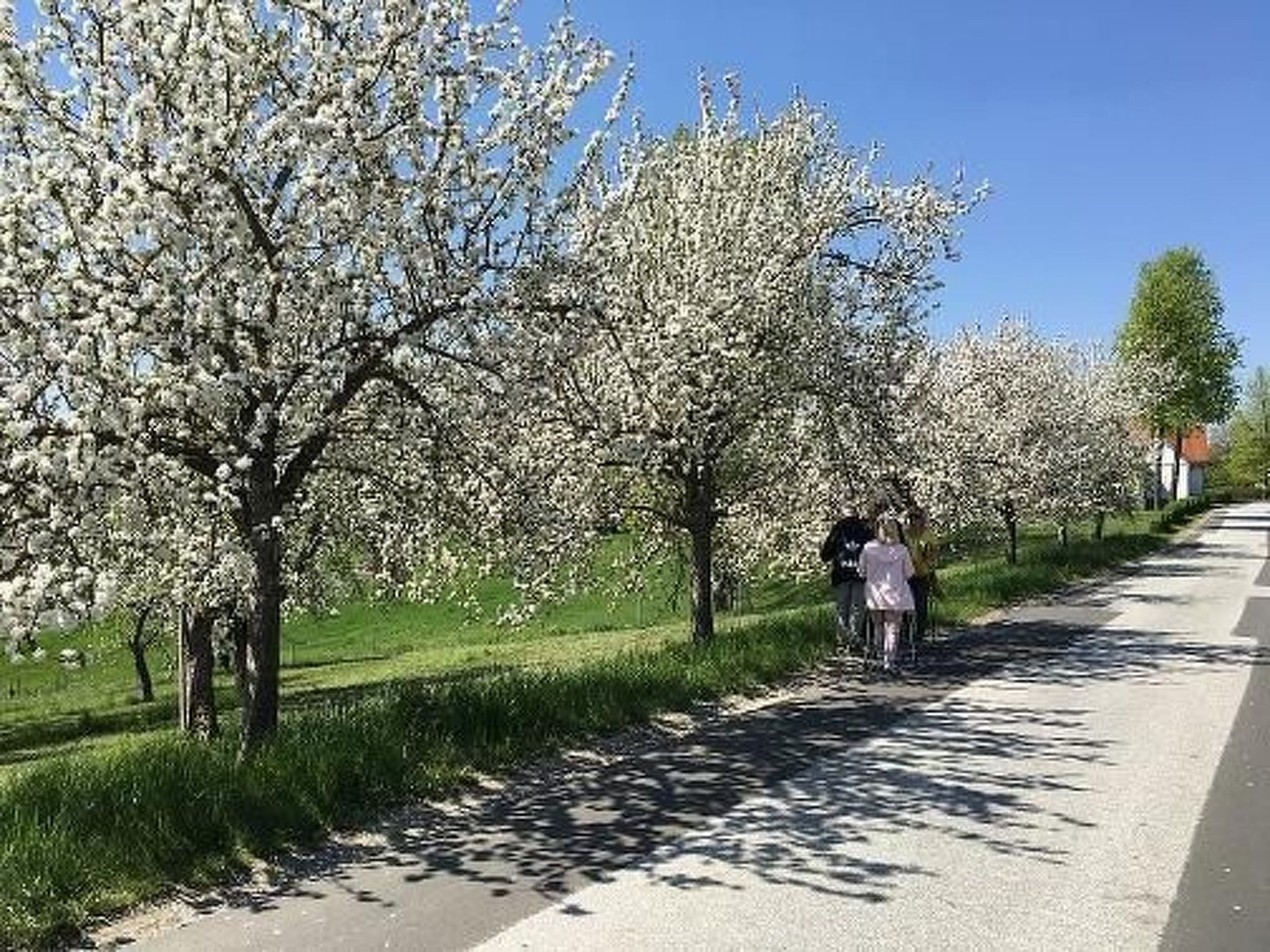 Thermen Apartment-Inside
