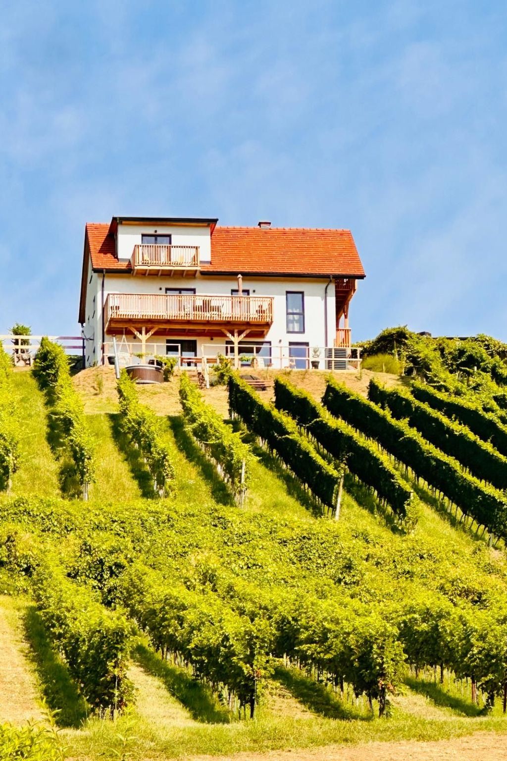 Vakantiehuis in Sankt Anna am Aigen (Oostenrijk) 1 hond is welkom