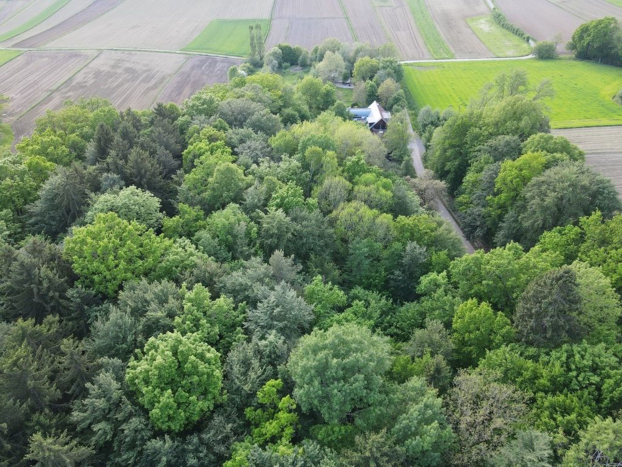 Idyllisch am Waldrand gelegene Ferienwohnung - Binnen