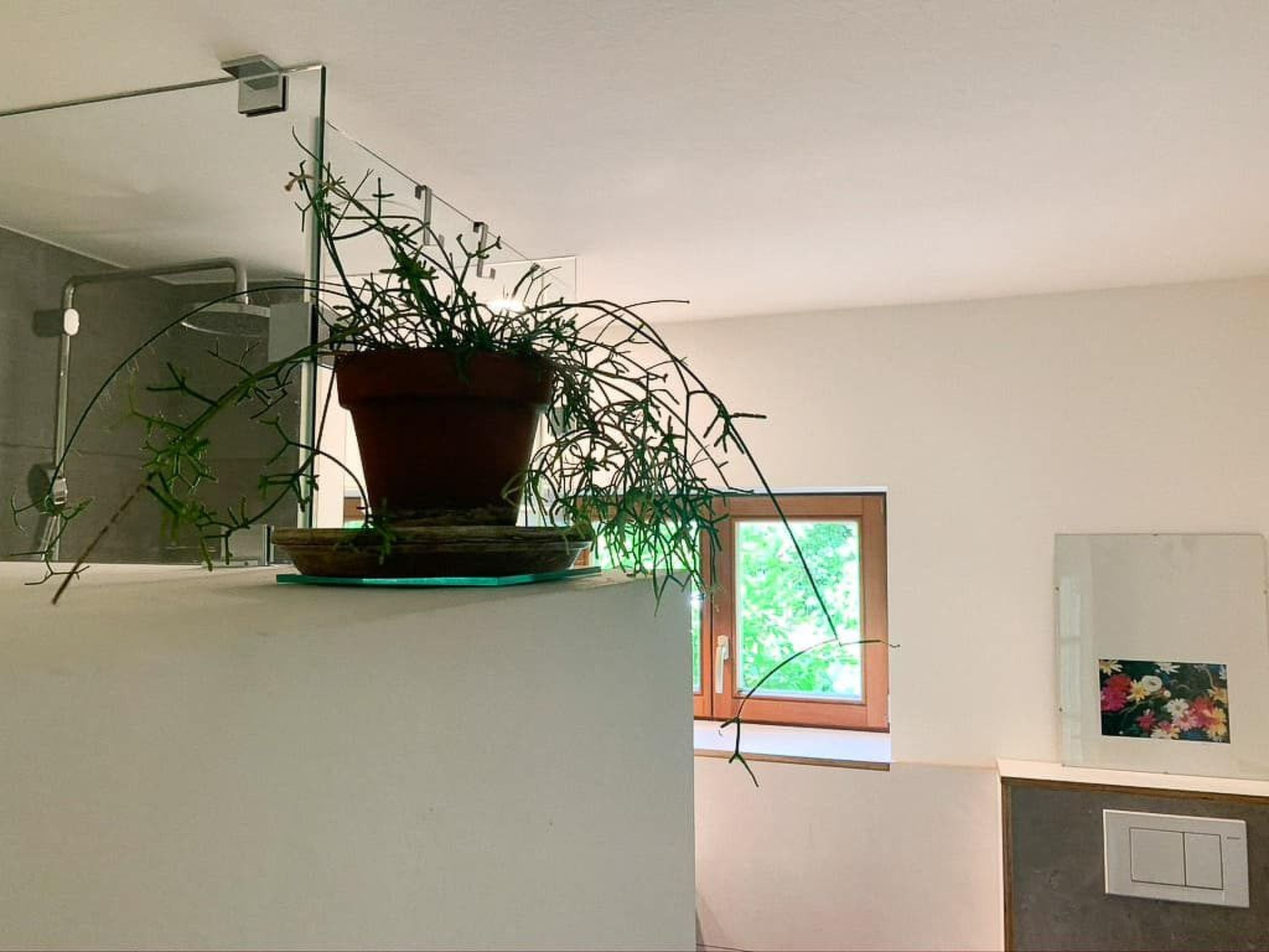 Idyllisch am Waldrand gelegene Ferienwohnung - Binnen
