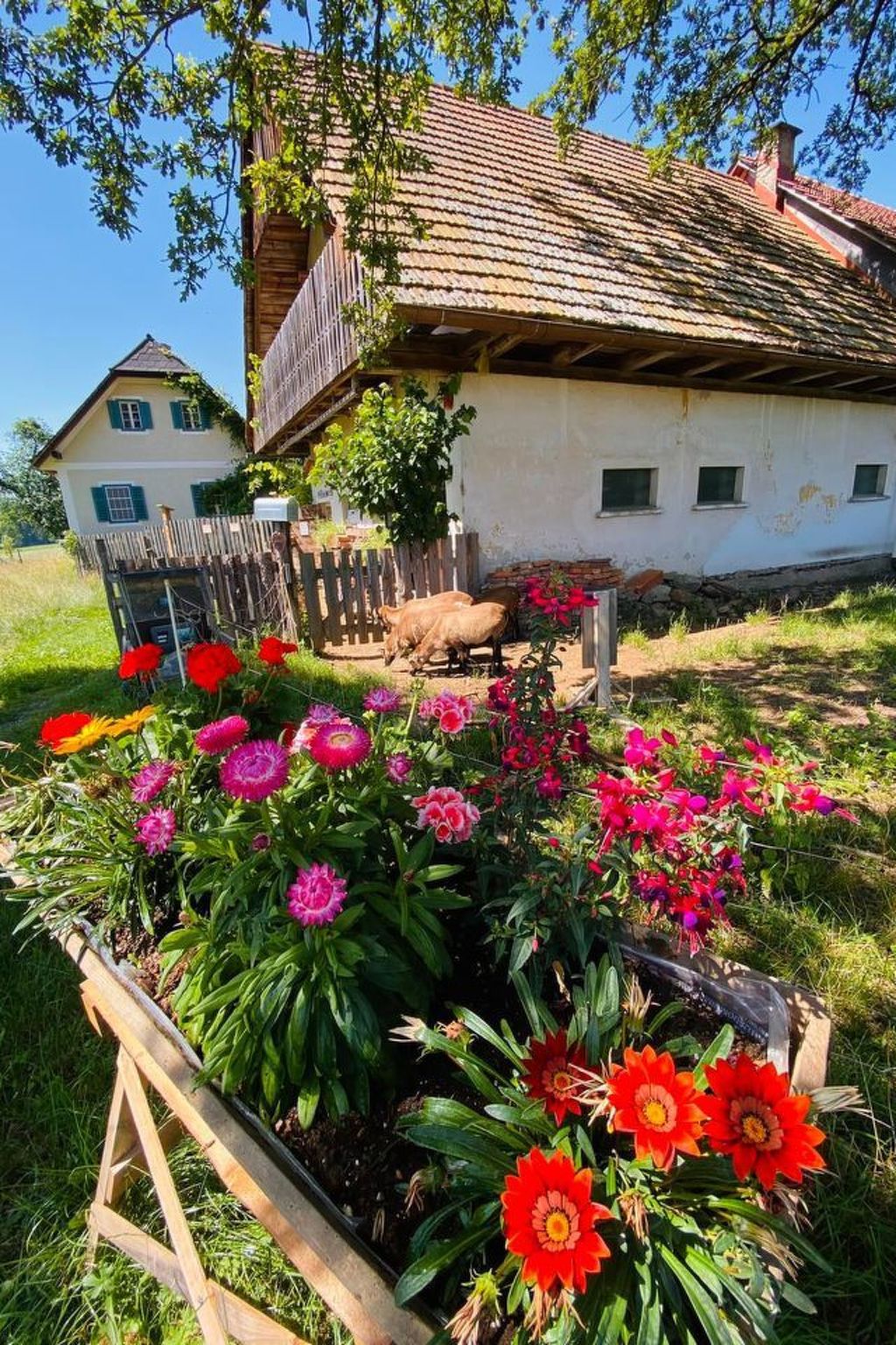 Kellerstöckl am veganen Bio-Lebenshof - Varm - the vegan Farm-Image-tags.info