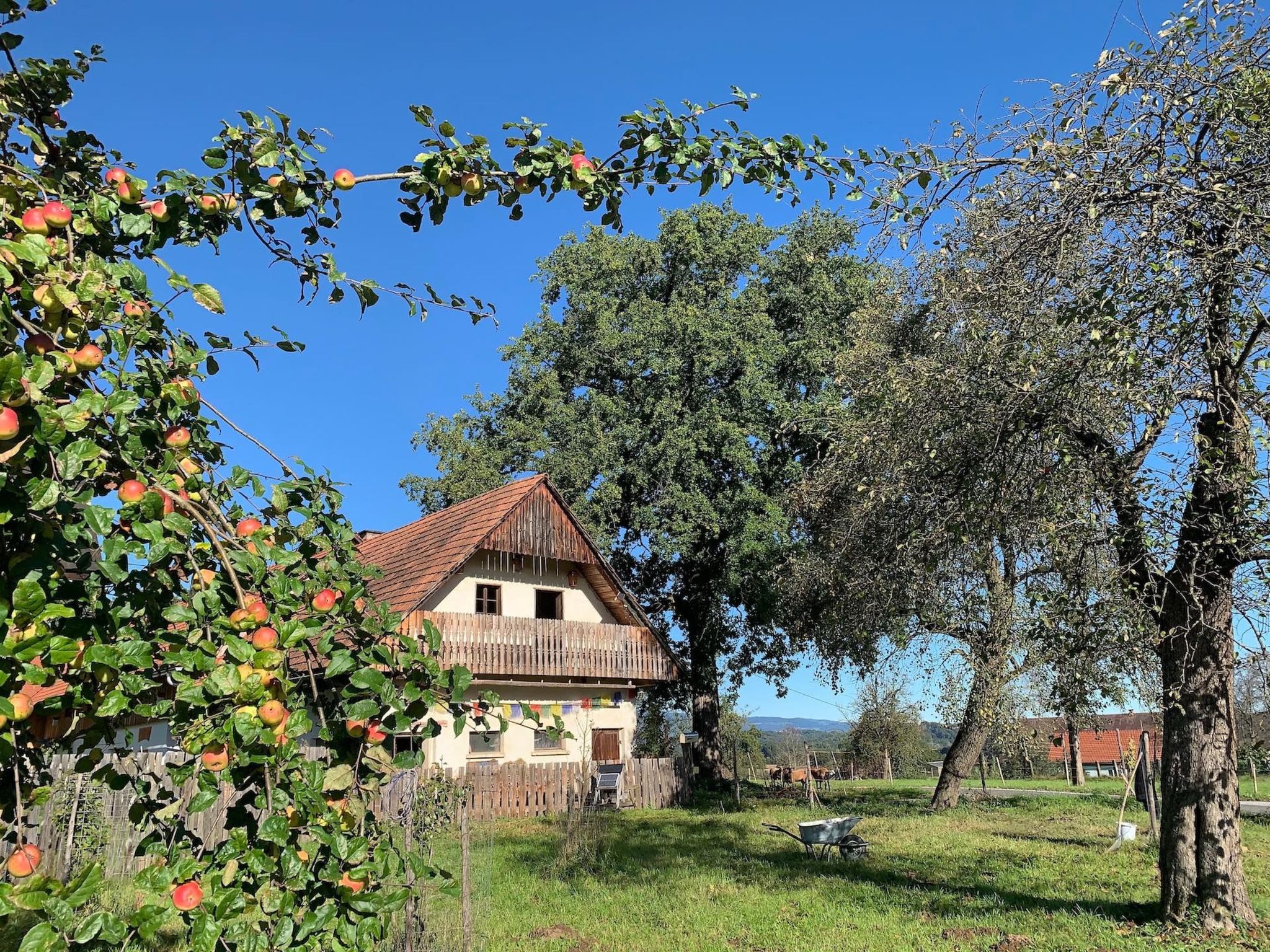 Kellerstöckl am veganen Bio-Lebenshof - Varm - the vegan Farm-Image-tags.info