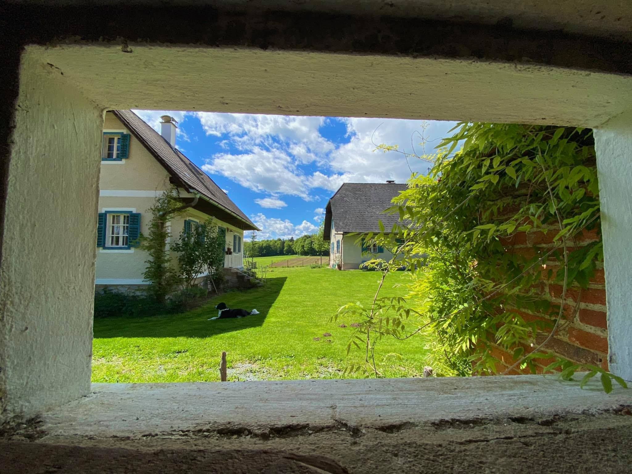 Kellerstöckl am veganen Bio-Lebenshof - Varm - the vegan Farm-Image-tags.info