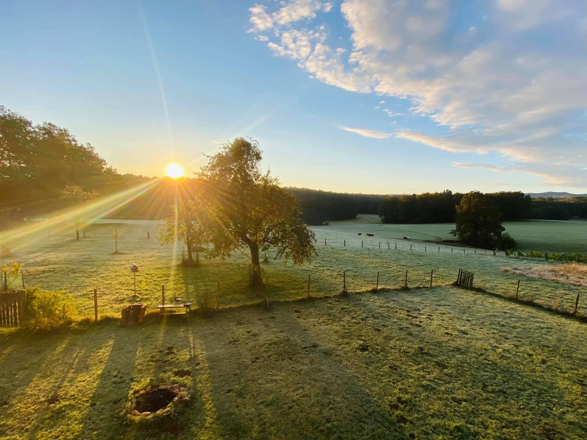 Kellerstöckl am veganen Bio-Lebenshof - Varm - the vegan Farm-Image-tags.info